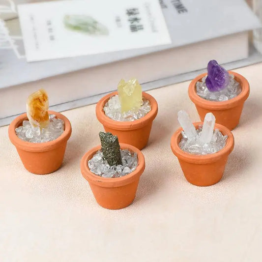 Crystal Pot · Everyday Healing Decor - Begonia L