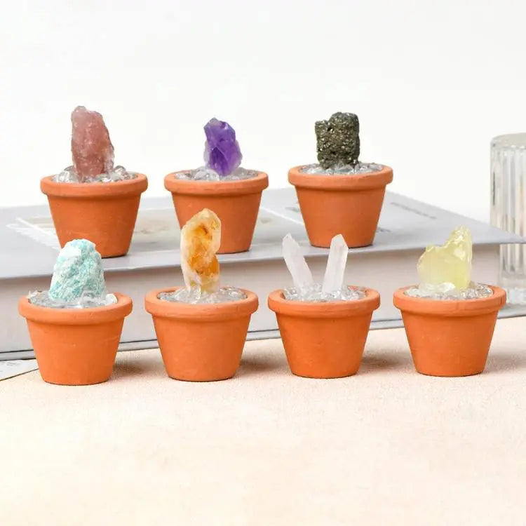 Crystal Pot · Everyday Healing Decor - Begonia L