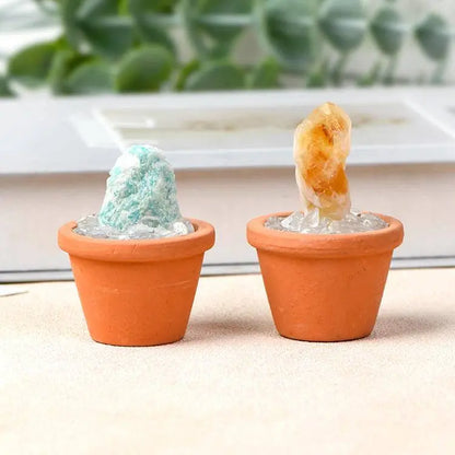 Crystal Pot · Everyday Healing Decor - Begonia L