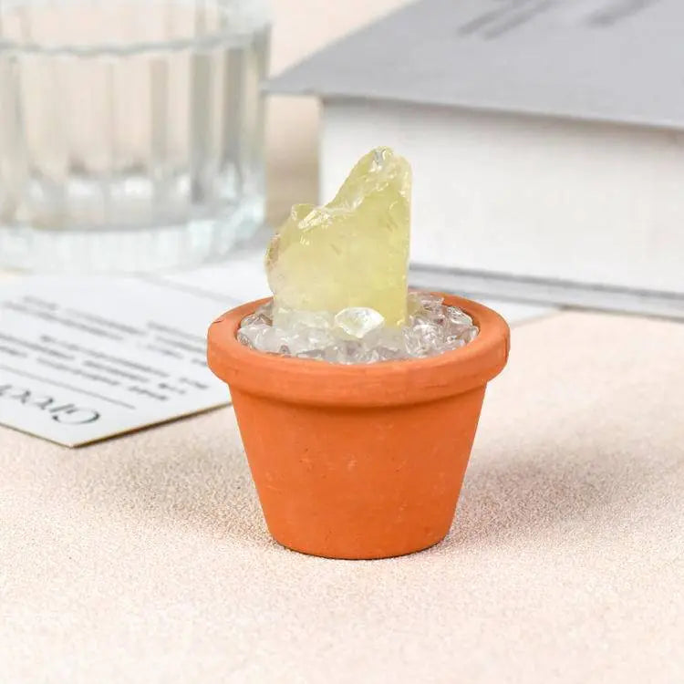 Crystal Pot · Everyday Healing Decor - Begonia L