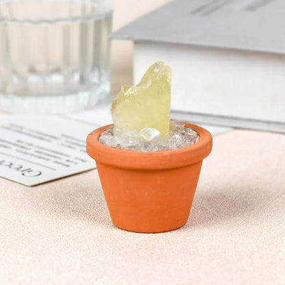 Crystal Pot · Everyday Healing Decor - Begonia L