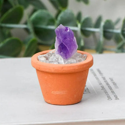 Crystal Pot · Everyday Healing Decor - Begonia L