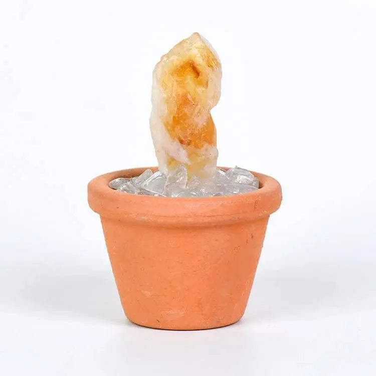 Crystal Pot · Everyday Healing Decor - Begonia L