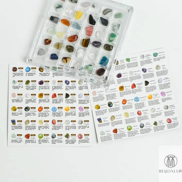 Gemstone Display Box: Acrylic Specimen Grid Collector Case - Begonia L